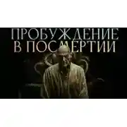Постер книги Пробуждение в посмертии
