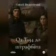 Постер книги От Т-34 до штрафбата