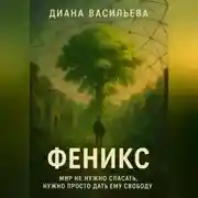 Постер книги «Феникс»
