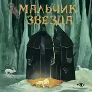 Постер книги Мальчик-Звезда