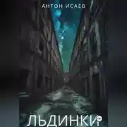 Постер книги Льдинки