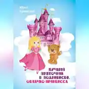 Постер книги Лучший Пряточник в Поднебесье. Облачко-принцесса