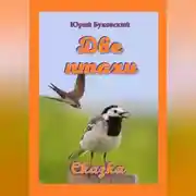 Постер книги Две птахи
