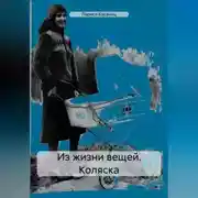Постер книги Из жизни вещей. Коляска