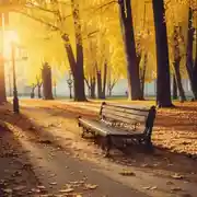 Постер книги Во имя жизни