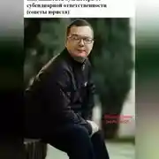 Постер книги Как защитить бухгалтера от субсидиарной ответственности (советы юриста)