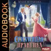 Постер книги Стихийная практика