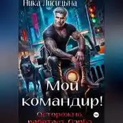 Постер книги Мой командир!
