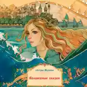 Постер книги Волшебные сказки