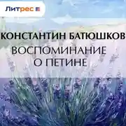 Постер книги Воспоминание о Петине