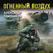 Постер книги Огненный воздух