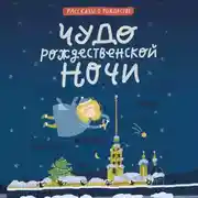 Постер книги Чудо рождественской ночи