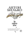 Антон Бильжо - Где сходятся ветки