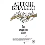 Постер книги Где сходятся ветки