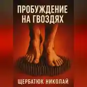 Постер книги Пробуждение на Гвоздях
