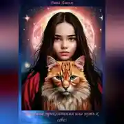 Постер книги Звёздные приключения или путь к себе.