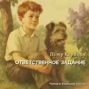 Постер книги Ответственное задание