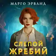 Постер книги Слепой жребий