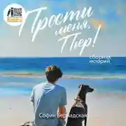 Постер книги Прости меня, Пьер!