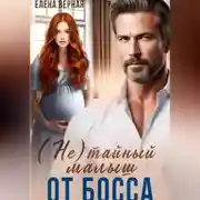 Постер книги (не) тайный малыш от босса