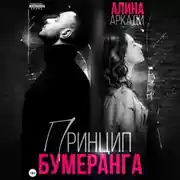 Постер книги Принцип бумеранга