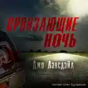 Постер книги Пронзающие ночь
