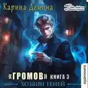 Постер книги Громов: Хозяин теней – 3