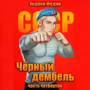 Постер книги Чёрный дембель. Часть 4