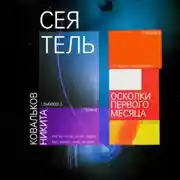 Постер книги Сеятель. Осколки первого месяца