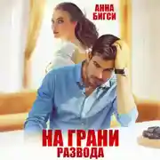 Постер книги На грани развода