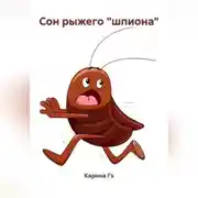 Постер книги Сон рыжего «шпиона»