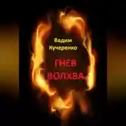 Постер книги Гнев волхва