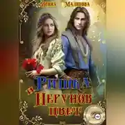 Постер книги Ришка и Перунов цвет