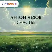 Постер книги Счастье
