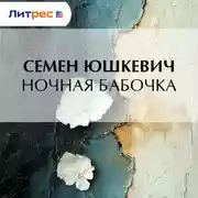 Постер книги Ночная бабочка