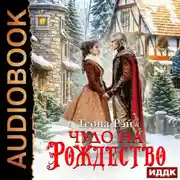 Постер книги Чудо на Рождество