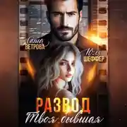 Постер книги Развод. Твоя бывшая