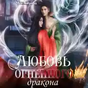 Постер книги Любовь огненного дракона