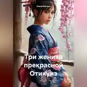Постер книги Три жениха прекрасной Отикунэ