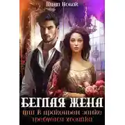 Постер книги Беглая жена, или В драконьем замке требуется хозяйка