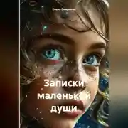 Постер книги записки маленькой души