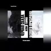 Постер книги Чёрная скала или тайна Белого Призрака