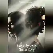 Постер книги Сквозь Лунный Свет и Тьму