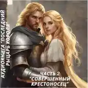 Постер книги Совершенный Крестоносец