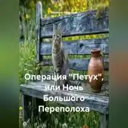 Постер книги Операция «Петух», или Ночь Большого Переполоха.