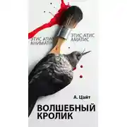 Постер книги Волшебный кролик