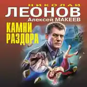 Постер книги Камни раздора