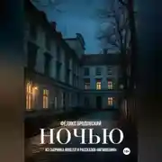 Постер книги Ночью