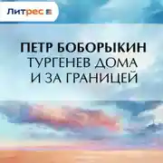 Постер книги Тургенев дома и за границей