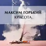 Постер книги Красота